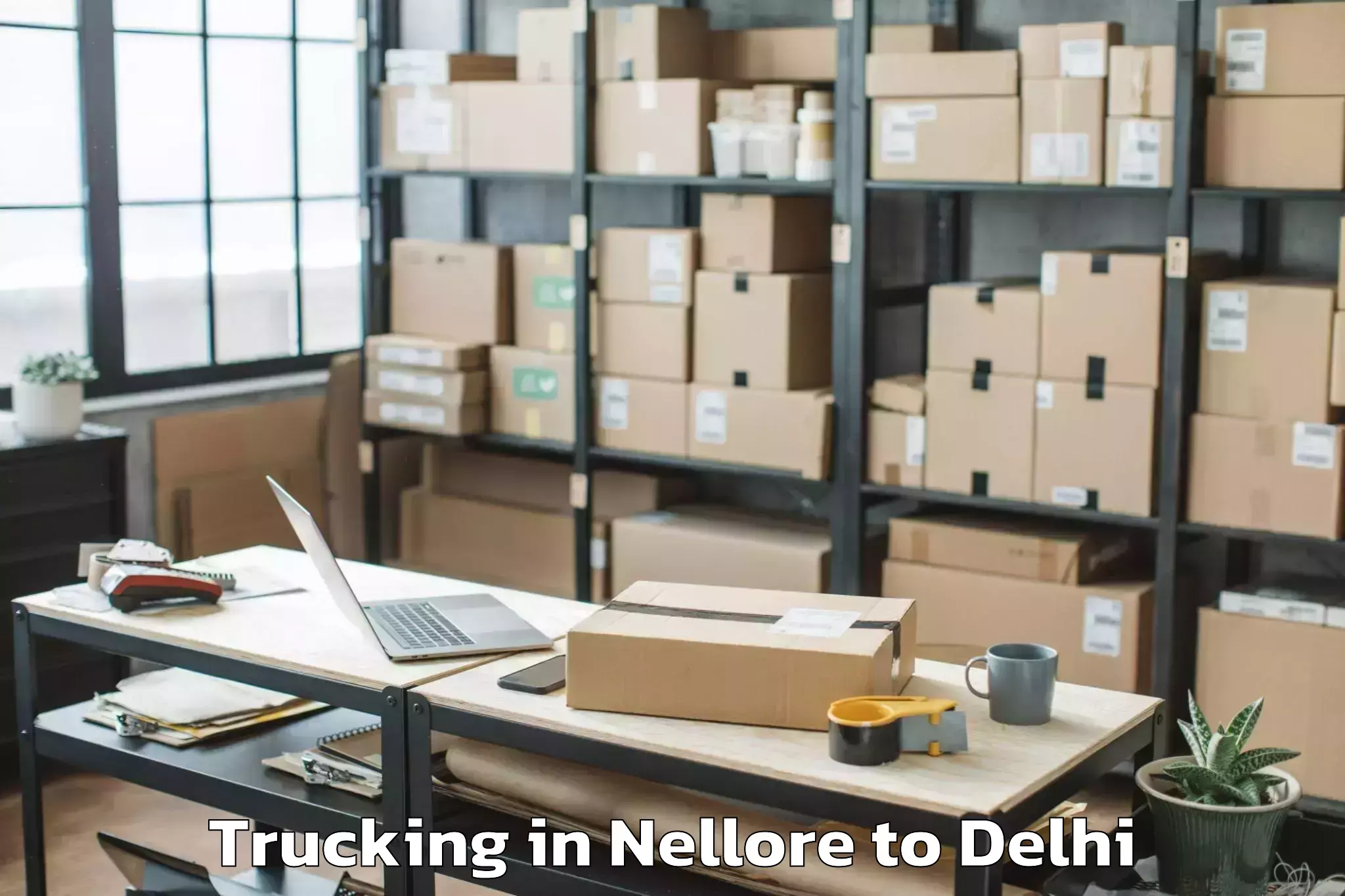 Book Nellore to City Centre Mall Dwarka Trucking Online